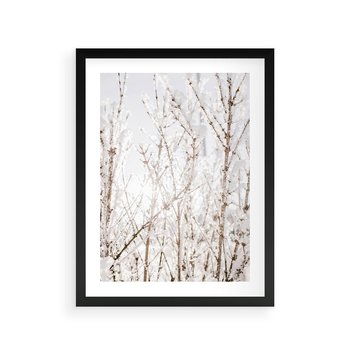 Plakat w ramie 30x40 - Szron na Gałęziach - ośnieżone gałązki, szron na gałęziach - rama czarna