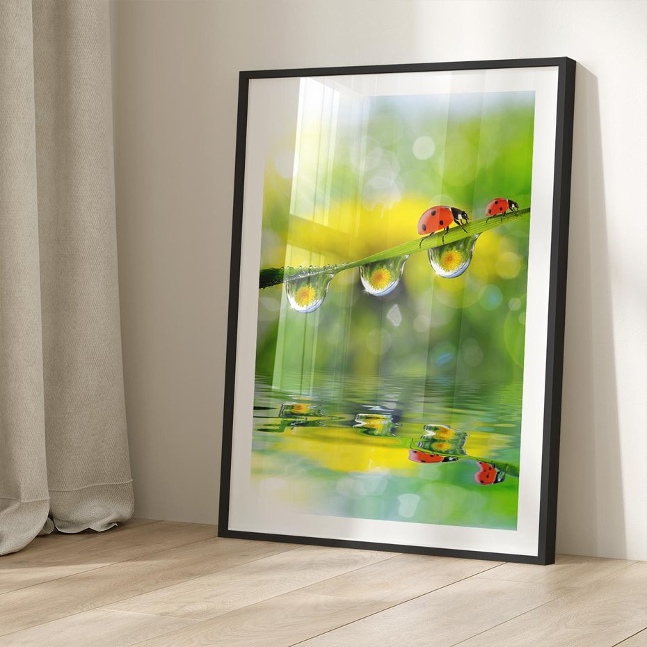 Plakat w ramie 50x70 - Deszczowa Biedronka - biedronka, deszcz - rama czarna