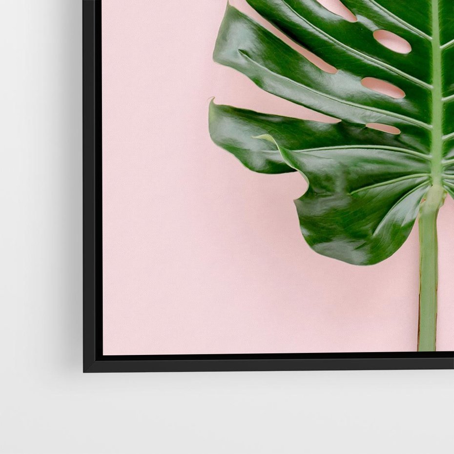 Obraz w ramie 50x50 - Egzotyczna Roślinność - liście, monstera - rama czarna