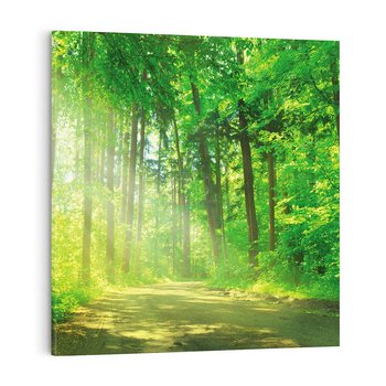 Obraz na płótnie 30x30 - Urok lasu na drodze - las, drzewa
