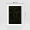 Plakat w ramie 30x40 - Ciemny las iglasty - las, iglasty - rama biała