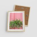 Plakat w ramie 40x50 - Fotografia Rośliny z Różowym Tłem - fotografia, zielona roślina na tle różwj ściany - rama drewno
