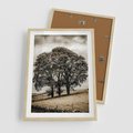 Plakat w ramie 50x70 - Spokojna Osamotniona Chwila - beżowe kolory, samotne drzewo na polu - rama drewno