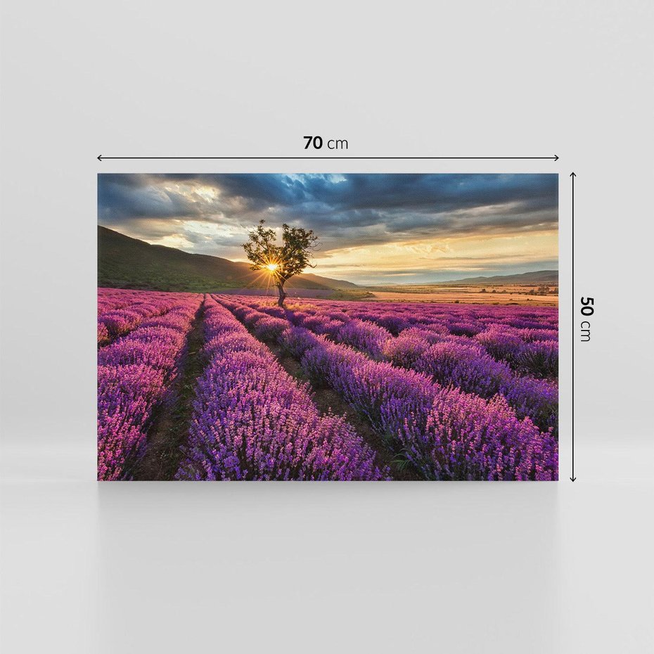 Obraz na płótnie 70x50 - Lawenda: Pachnący ogród natury - lawenda, kwiaty