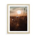 Plakat w ramie 50x70 - Spokój łąki pod zachodem słońca - zachód, słońca - rama drewno
