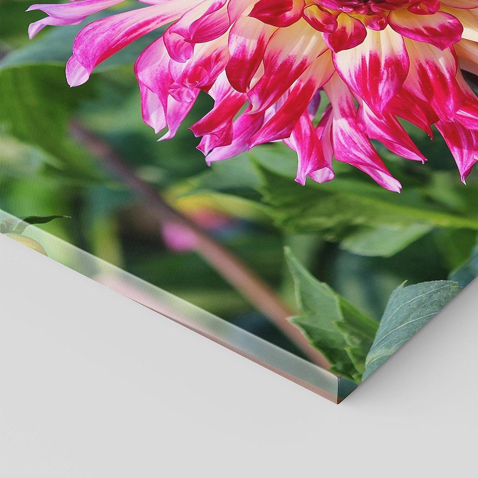 Obraz na płótnie 60x60 - Kwiatowe impresje natury - kwiat, kwiaty