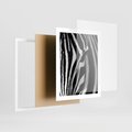 Plakat w ramie 40x50 - Pasy Zebr - zebra, paski - rama biała