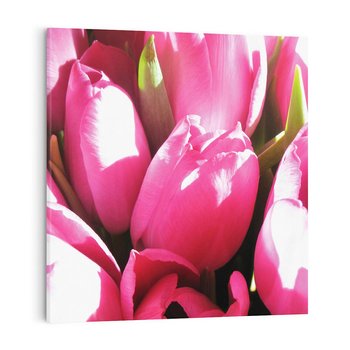 Obraz na płótnie 50x50 - Tulipany w pejzażu - tulipany, kwiaty