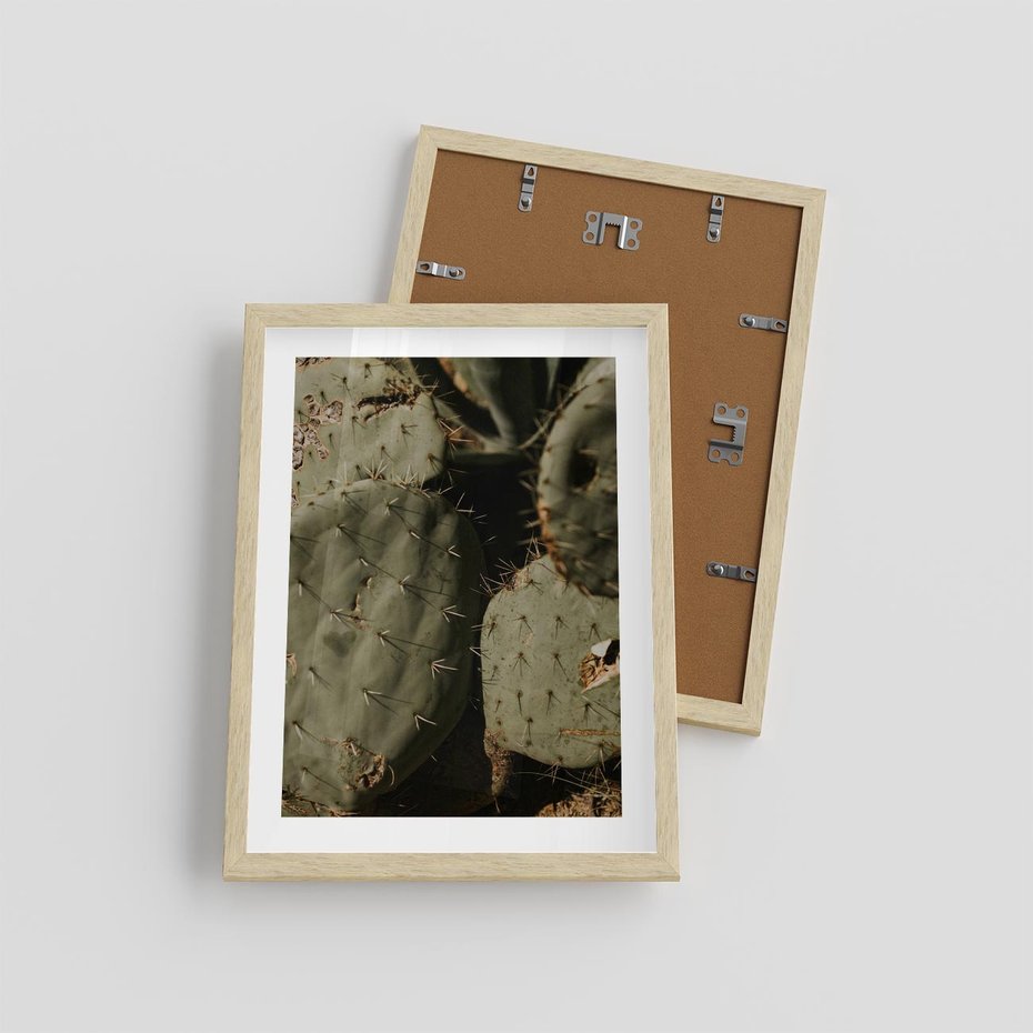 Plakat w ramie 30x40 - Urok Egzotyki - kaktusy, boho - rama drewno