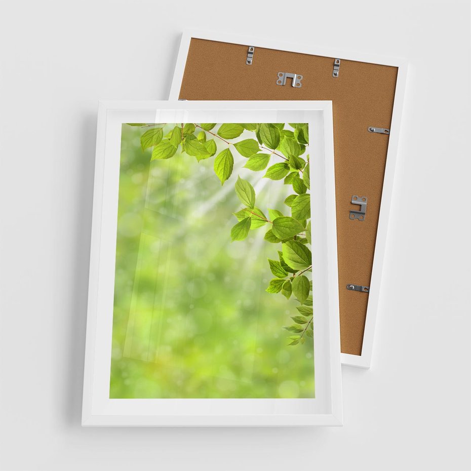 Plakat w ramie 50x70 - Zielone liście natury - liści, zieleń - rama biała