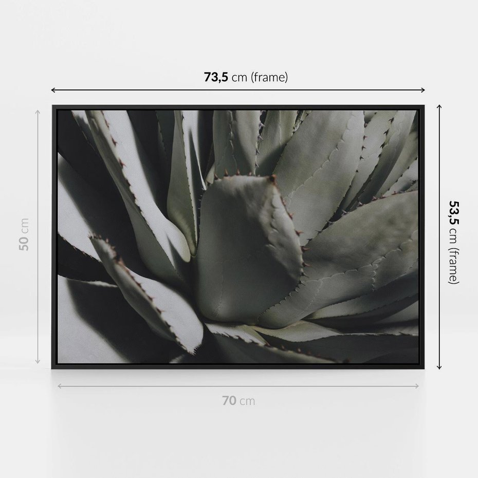 Obraz w ramie 70x50 - Sukulenty wśród kaktusów - sukulenty, kaktusy - rama czarna