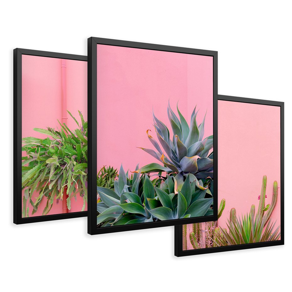 Zestaw obrazy w ramie 30x40 galeria - Liście, kaktusy, rośliny, pastele, retro - rama czarna