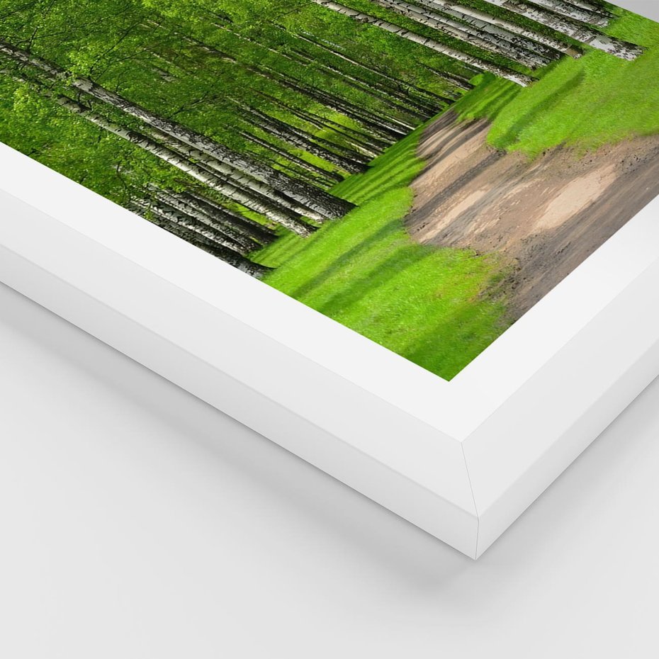 Plakat w ramie 40x50 - Spacer Ścieżką w Urokliwym Lesie - las, ścieżka - rama biała