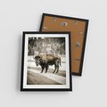 Plakat w ramie 40x50 - Spotkanie z Żubrem na Leśnej Drodze - żubr, las - rama czarna