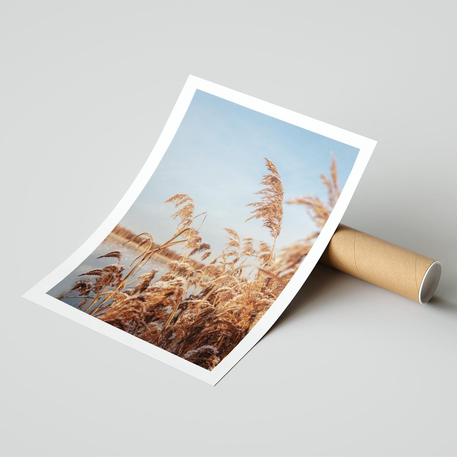 Plakat bez ramy 21x30 - Wyraz Stylu - trawy, boho