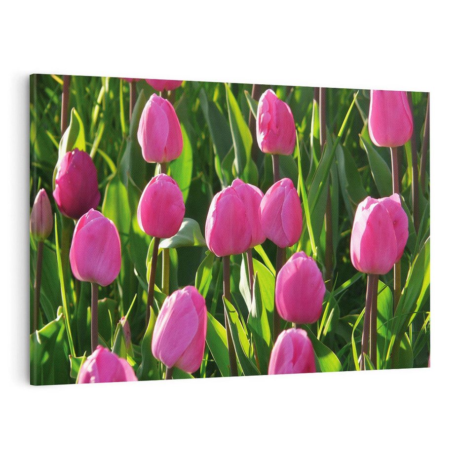 Obraz na płótnie 100x70 - Tulipanowa harmonia - tulipany, kwiaty