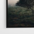 Obraz w ramie 50x50 - Zamglona Prostota - artystyczna fotografia, samotne drzewo na zamglonej łące - rama czarna