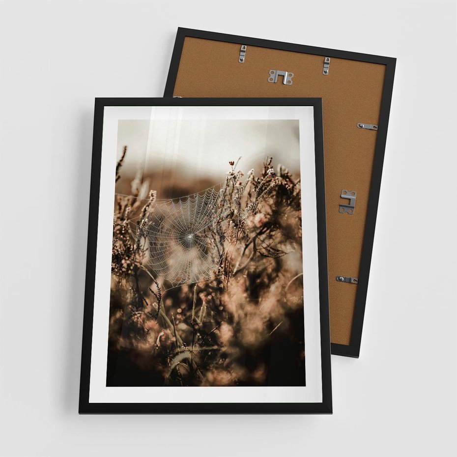 Plakat w ramie 50x70 - Jesienny Mikrokosmos - suchetrawy, jesienny klimat - rama czarna