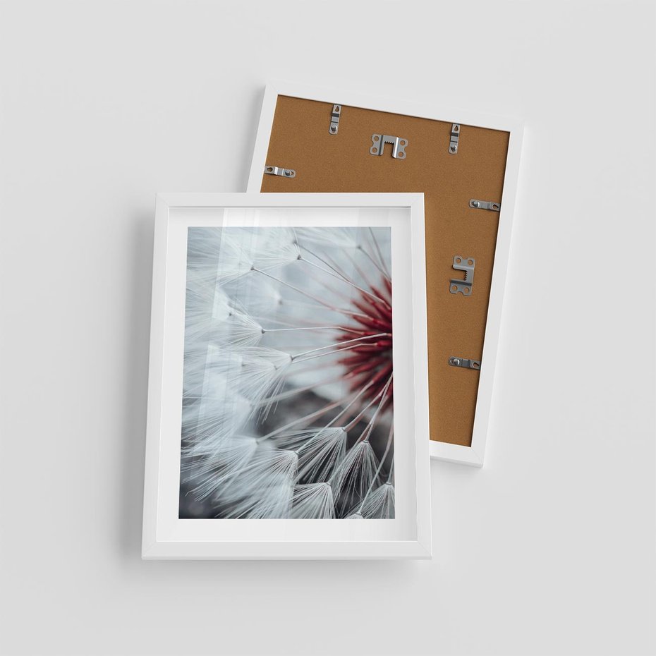 Plakat w ramie 30x40 - Makro Magii Natury - dmuchawiec, zbliżenie makro - rama biała