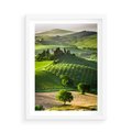 Plakat w ramie 50x70 - Prowansja: malownicze winnice w kraju Włoch - Prowansja, Włochy - rama biała