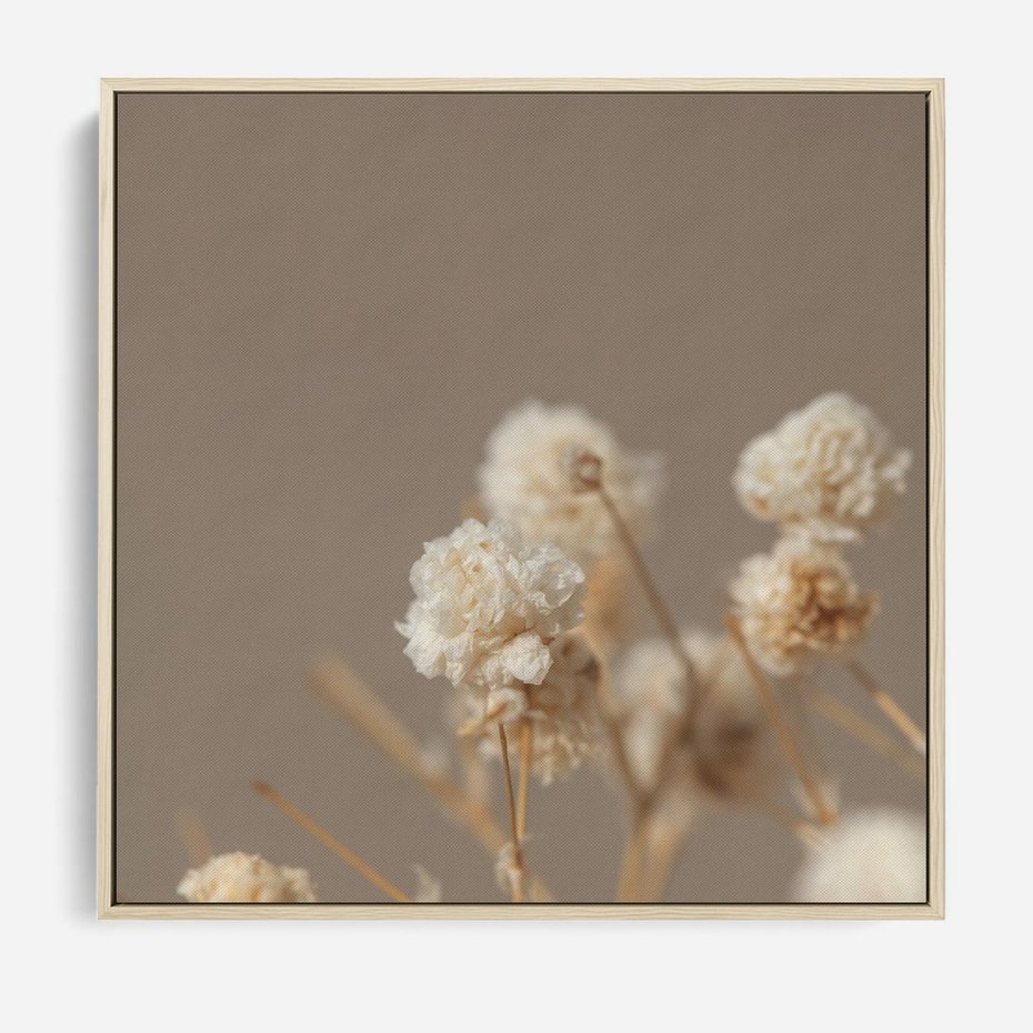 Obraz w ramie 50x50 - Przezroczyste piękno - gipsówka, suche - rama drewno