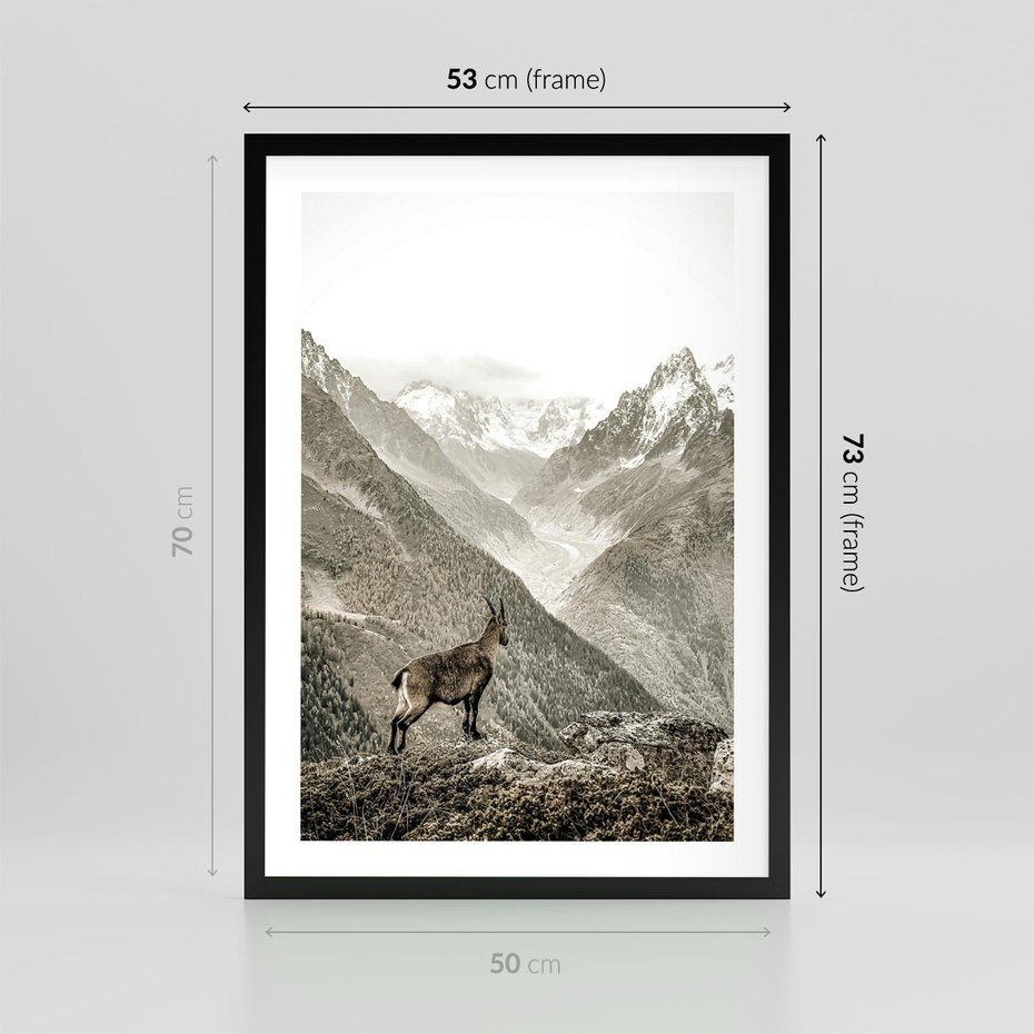 Plakat w ramie 50x70 - Dzikie Piękno: Kozica w Malowniczym Górskim Scenerii - kozica, góry - rama czarna
