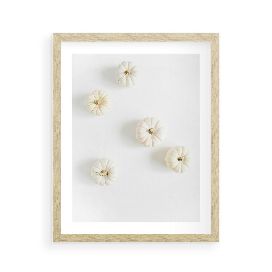 Plakat w ramie 40x50 - Biała Jesień: Dynie na Jasnym Tle - białe dynie, białe tło - rama drewno