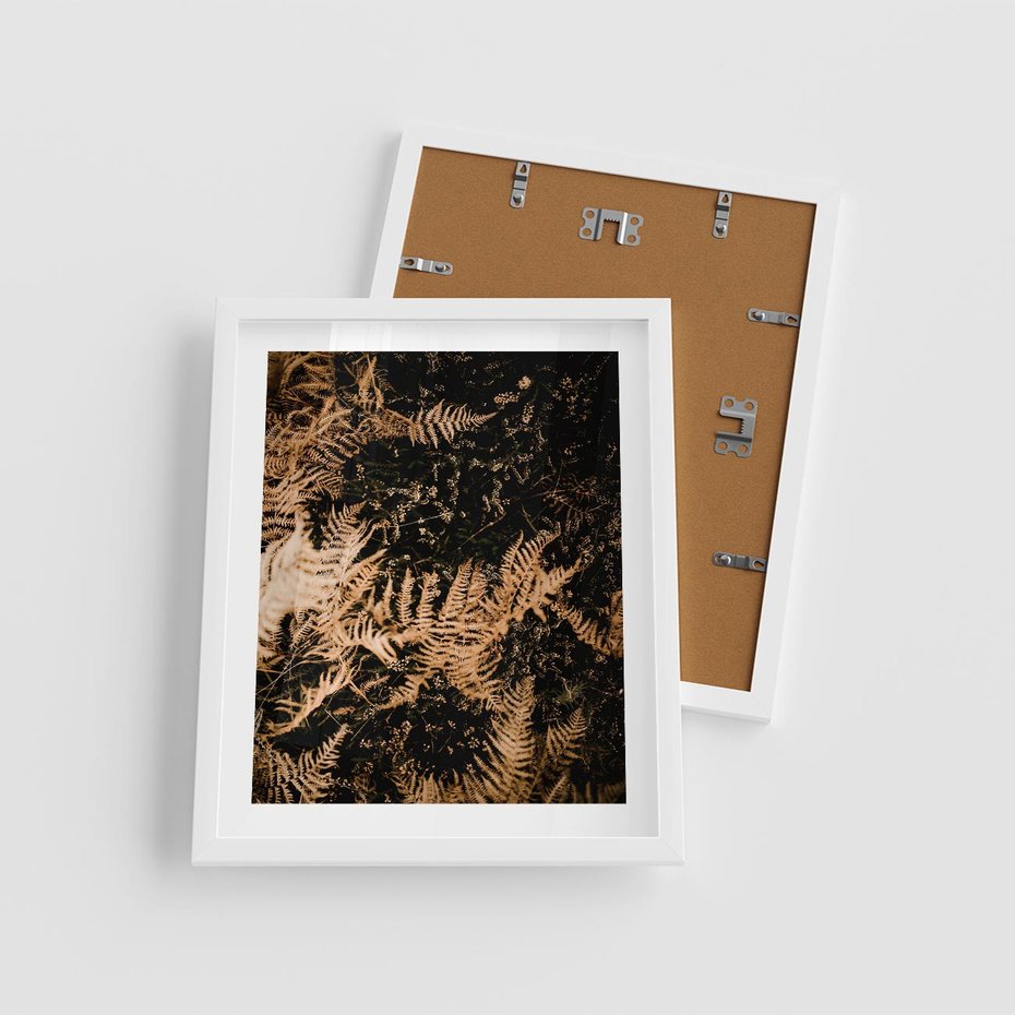 Plakat w ramie 40x50 - Jesienne Paprocie: Kolorowa Paleta Natury - paprocie, jesień - rama biała