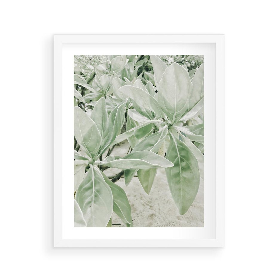 Plakat w ramie 40x50 - Jasnozielone Liście w Kompozycji - liście, jasna zieleń - rama biała