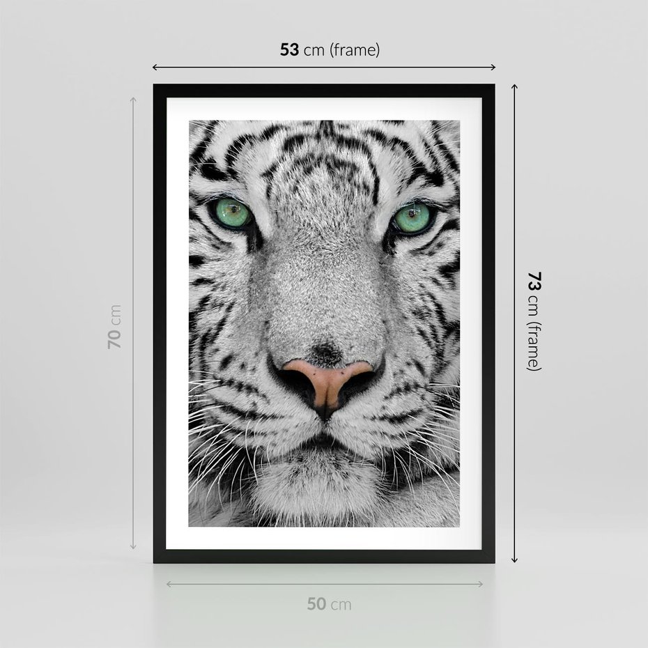 Plakat w ramie 50x70 - Magia Białego Tygrysa - biały, tygrys - rama czarna