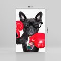 Obraz na płótnie 80x120 - Boksujący mops - pies - boks, mops