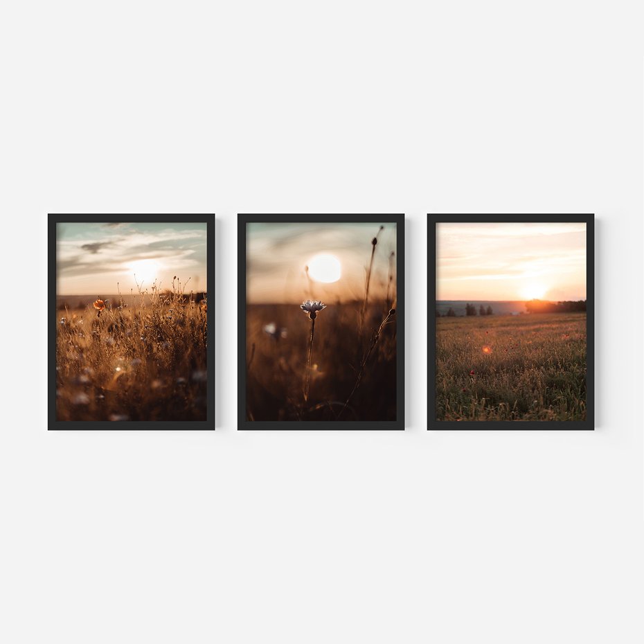 Zestaw obrazy w ramie 30x40 galeria - Zachód, słońca, łąka, kwiaty - rama czarna