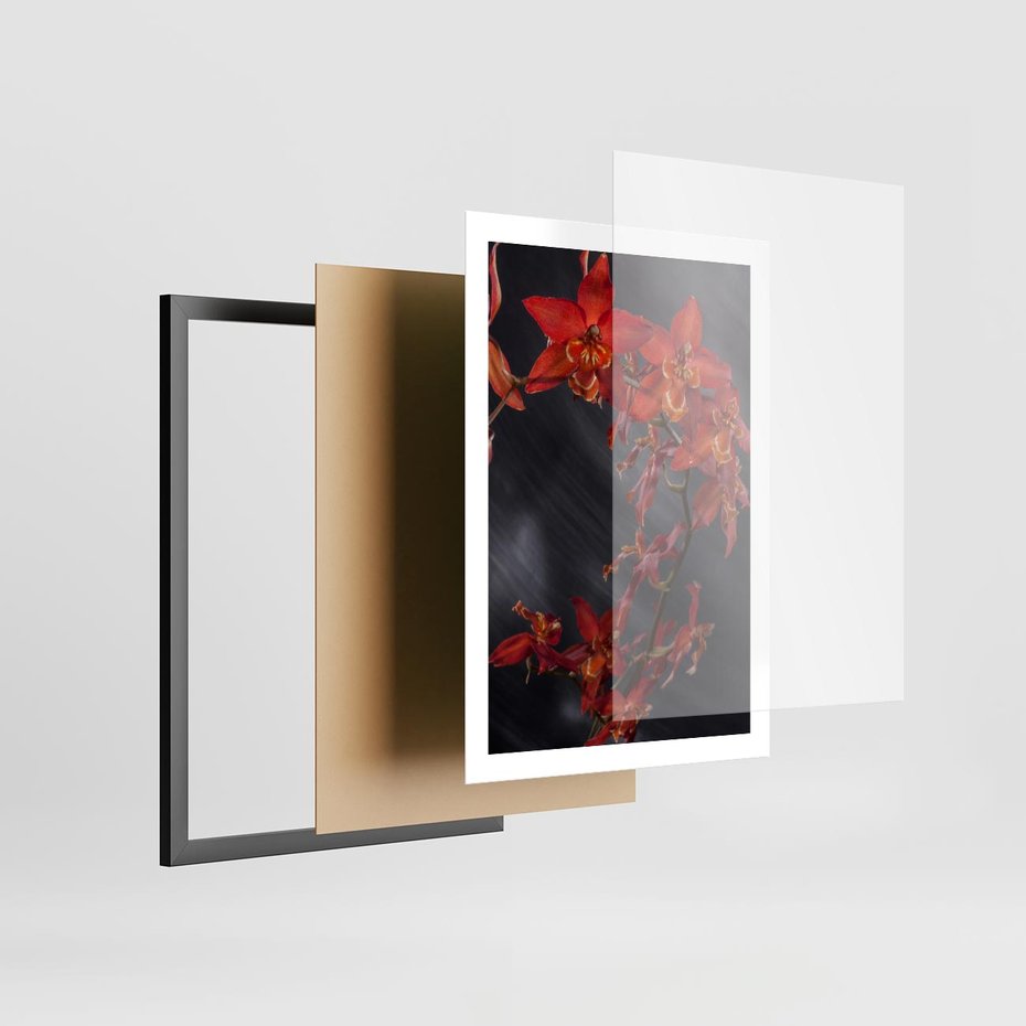 Plakat w ramie 50x70 - Kolorowy Raj - kwiaty, tropikalne - rama czarna