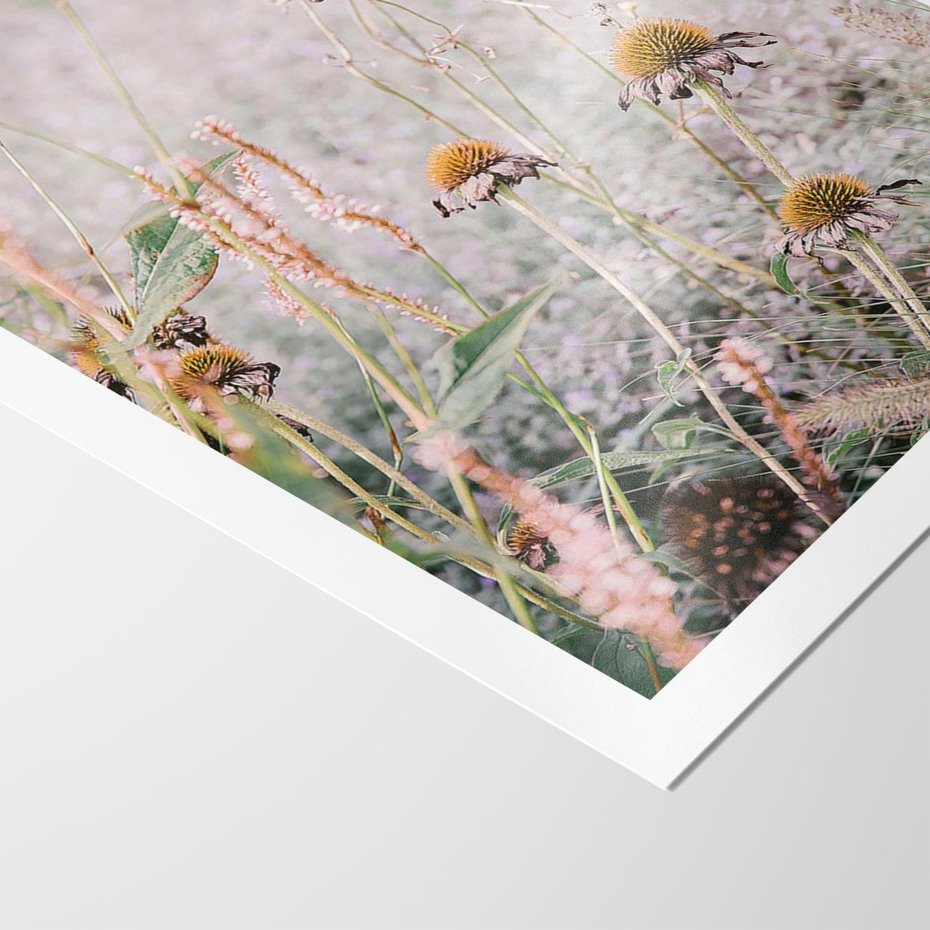 Plakat bez ramy 40x50 - Przyroda w Pełnym Blasku: Kolorowa łąka z Kwiatami - łąka, kwiaty na łące