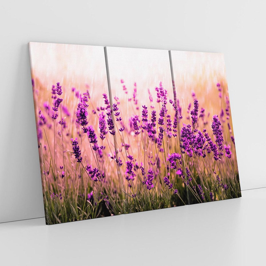 Obraz na płótnie 120x80 - Lawenda: Pachnące pole kwiatów - kwiaty, lawenda