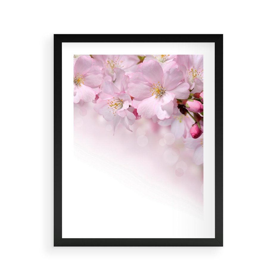 Plakat w ramie 40x50 - Kwitnąca Wiśnia - kwiaty, kwitnącej - rama czarna