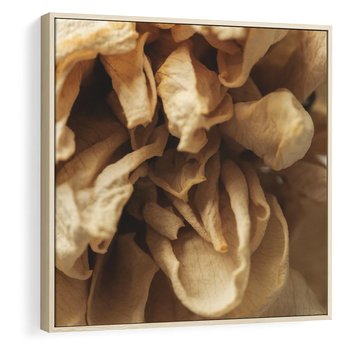 Obraz w ramie 80x80 - Zjawiskowe zasuszone kwiaty - zasuszone, kwiaty - rama drewno