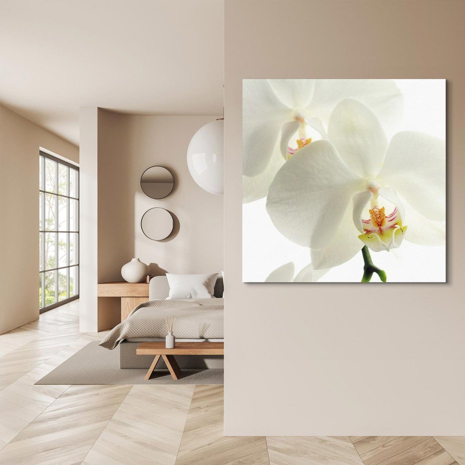 Obraz na płótnie 50x50 - Kwiatowe piękno - kwiat, kwiaty