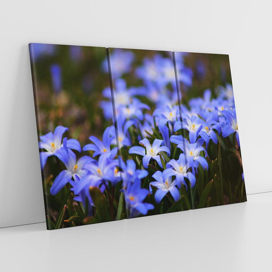 Obraz na płótnie 120x80 - Kwiatowy raj w naturze - kwiat, kwiaty