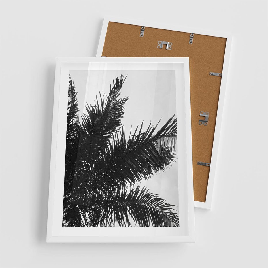 Plakat w ramie 50x70 - Czas Zapomnienia - palmy, czarno biała fotografia - rama biała