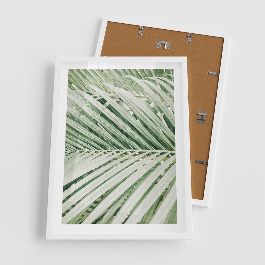 Plakat w ramie 50x70 - Liście Palmy: Egzotyczna Grafika - palma, liście palmy - rama biała