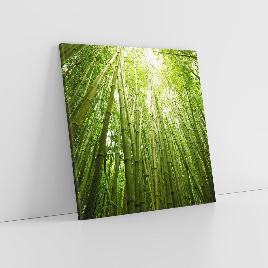 Obraz na płótnie 70x70 - Siła Natury - drzewa, las