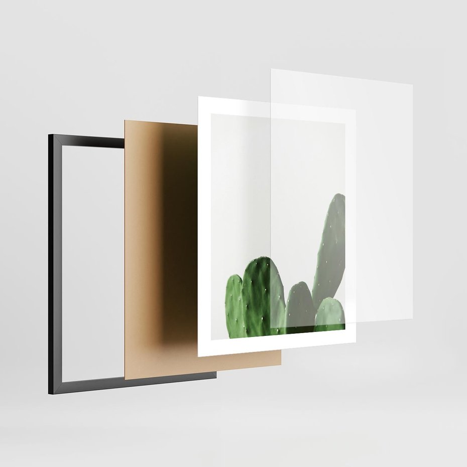 Plakat w ramie 40x50 - Minimalizm Natury - kaktus, zbliżenie - rama czarna