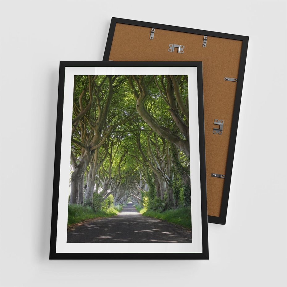 Plakat w ramie 50x70 - Magiczny Las - drzewa, las - rama czarna