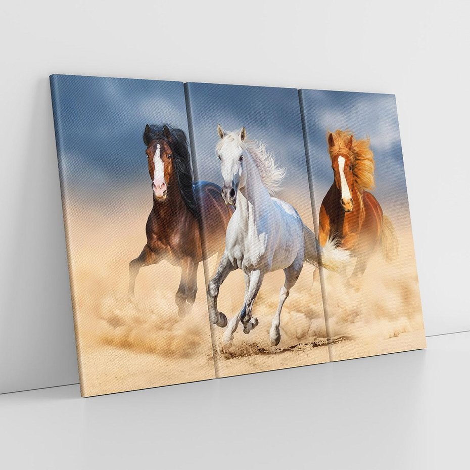 Obraz na płótnie 120x80 - Siła i elegancja - konie, galop