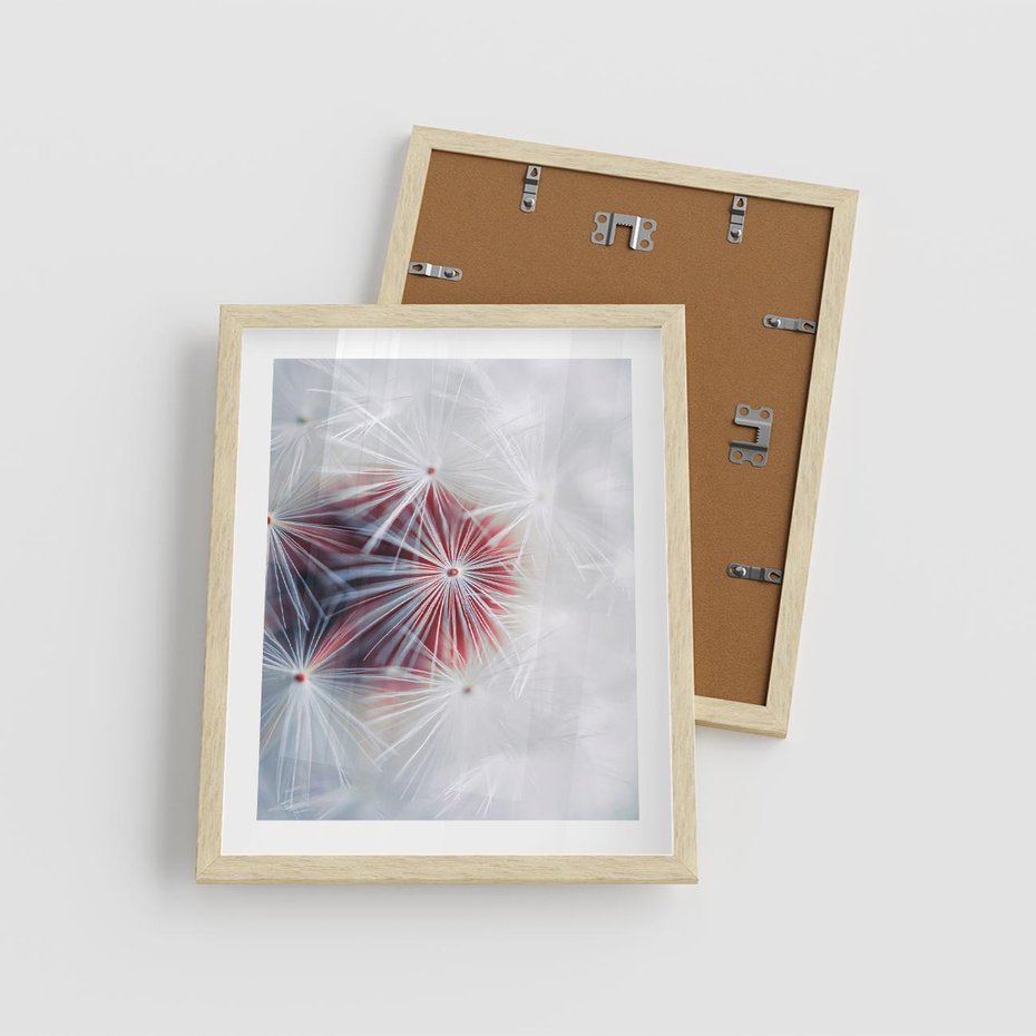 Plakat w ramie 40x50 - Minimalistyczna Delikatność - zbliżenie, dmuchawce - rama drewno