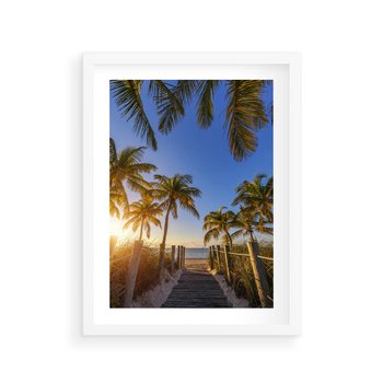 Plakat w ramie 50x70 - Rajskie palmy w tropikalnym raju - palmy, tropiki - rama biała