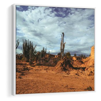 Obraz w ramie 50x50 - Skarby Pustynnego Kanionu - pustynia, kaktusy - rama biała