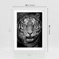 Plakat w ramie 30x40 - Tygrys Czarno-Biały: Siła i Delikatność - tygrys, czarno - rama biała