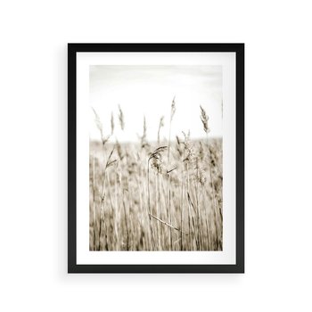 Plakat w ramie 50x70 - Nostalgiczny Pejzaż - suche trawy, pole - rama czarna